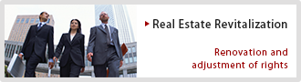 Real Estate Revitalization